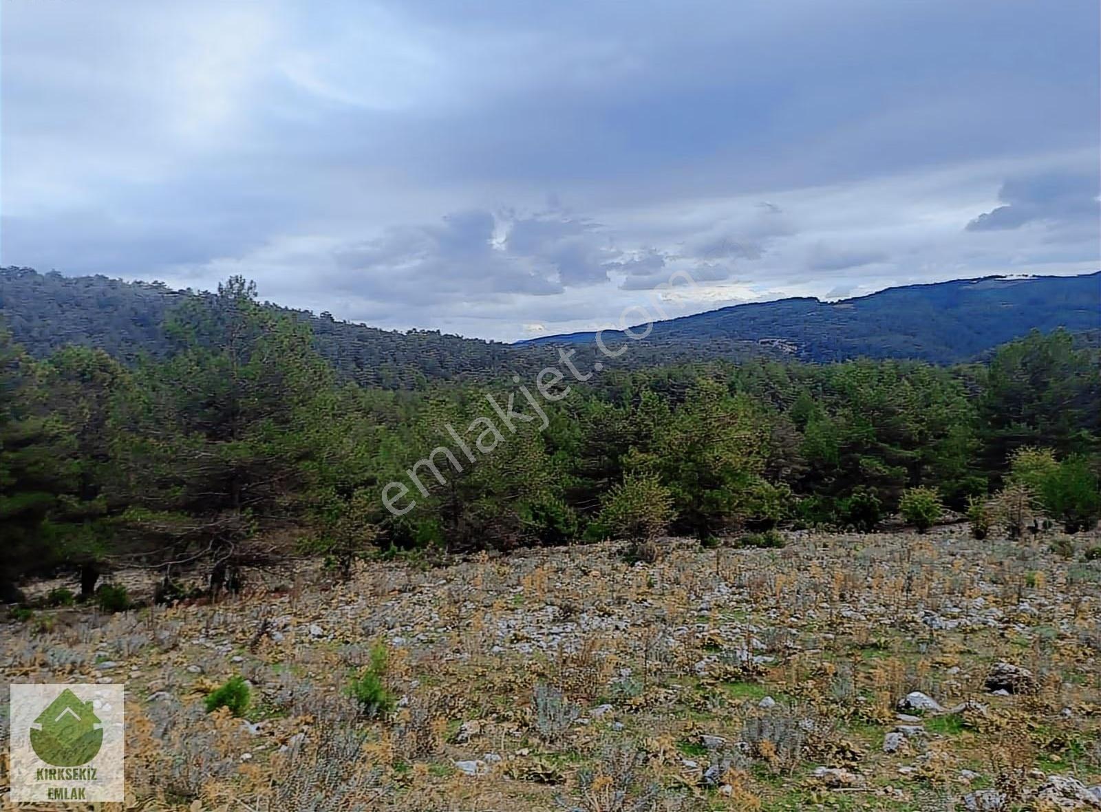 Muğla Menteşe Dağdibi Mahallesinde 6783 M² Tarla... - Görsel 6