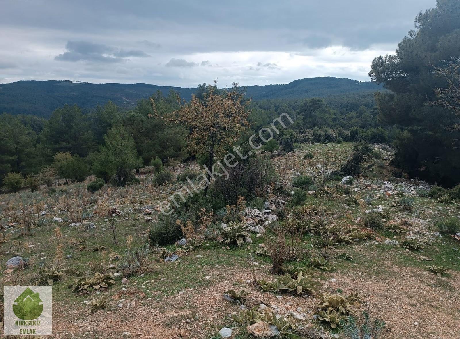 Muğla Menteşe Dağdibi Mahallesinde 6783 M² Tarla... - Görsel 5