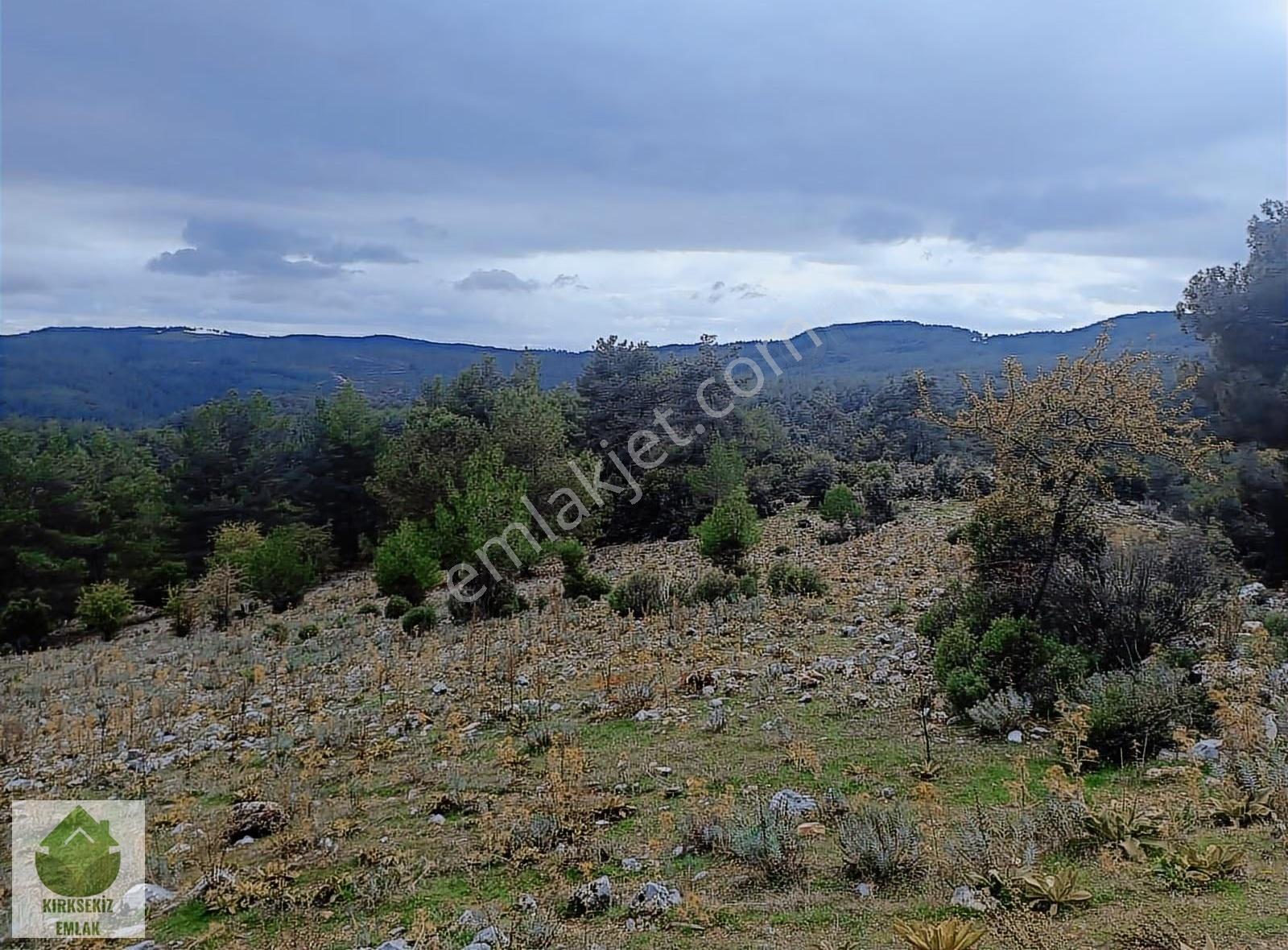 Muğla Menteşe Dağdibi Mahallesinde 6783 M² Tarla... - Görsel 2