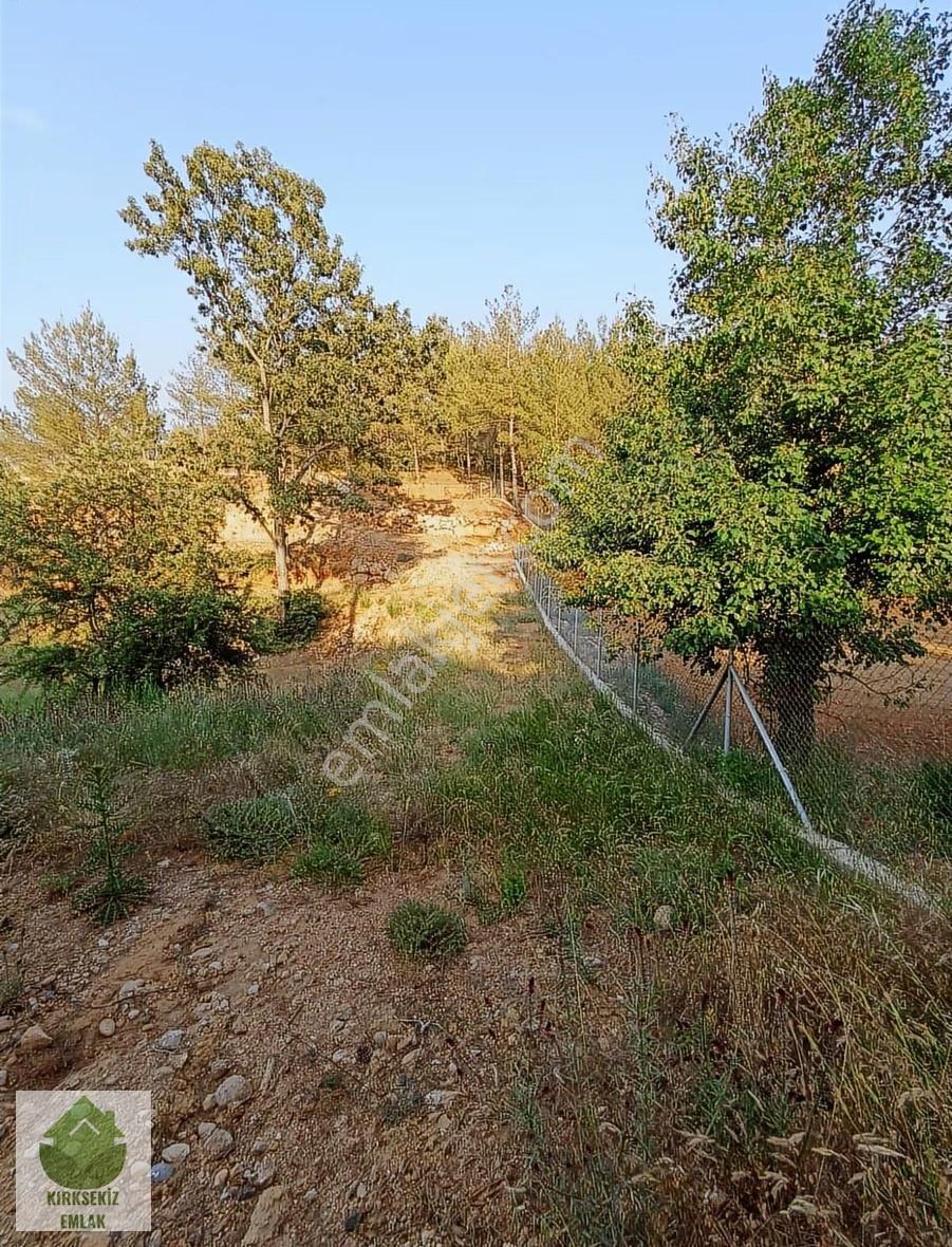 Muğla Menteşe Derinkuyu(fadılca) Da Büyük Hobi Bahçesi - Görsel 17