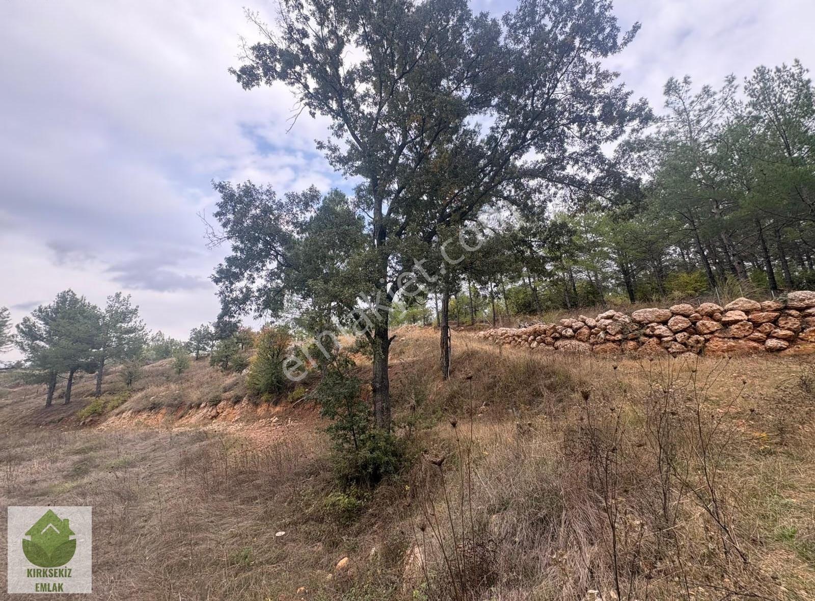 Muğla Menteşe Derinkuyu(fadılca) Da Büyük Hobi Bahçesi - Görsel 11