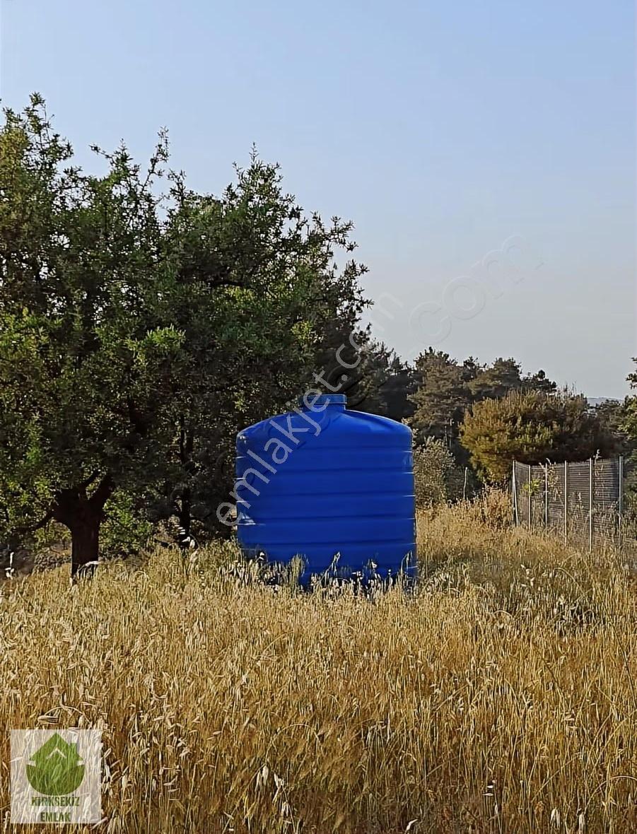 Muğla Menteşe Derinkuyu(fadılca) Da Büyük Hobi Bahçesi - Görsel 10