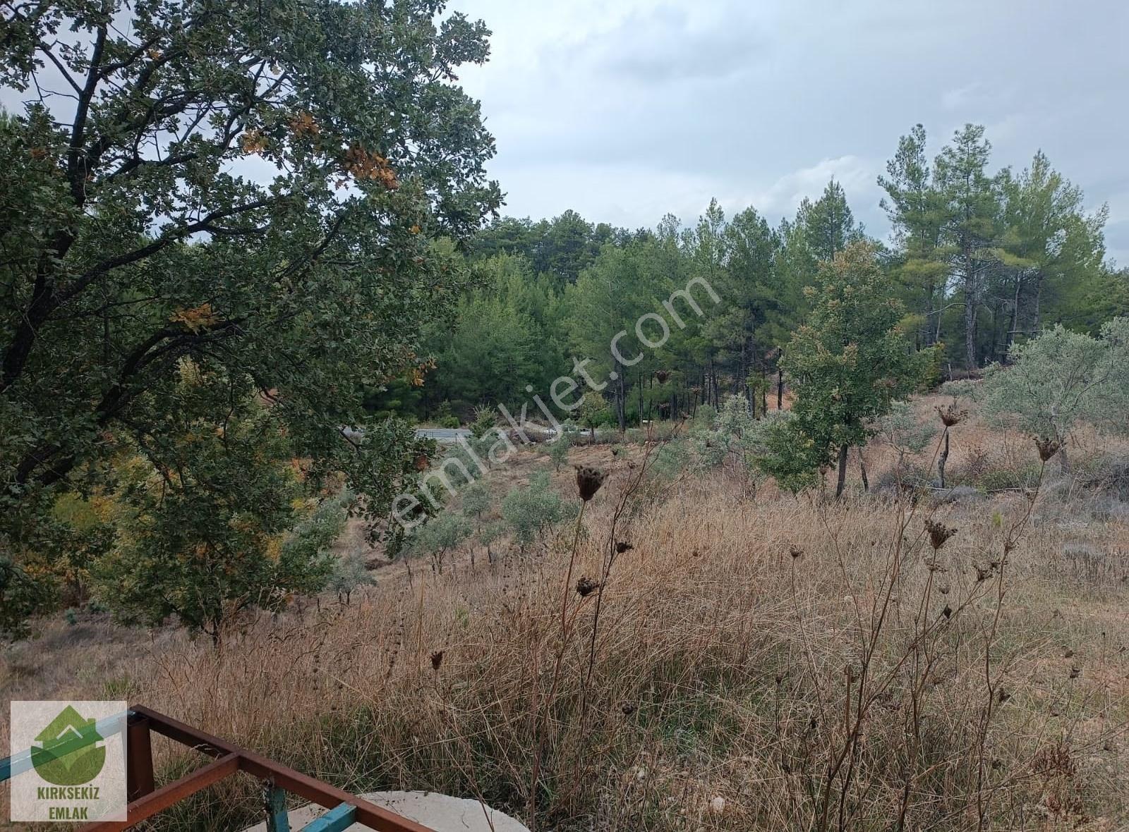 Muğla Menteşe Derinkuyu(fadılca) Da Büyük Hobi Bahçesi - Görsel 23