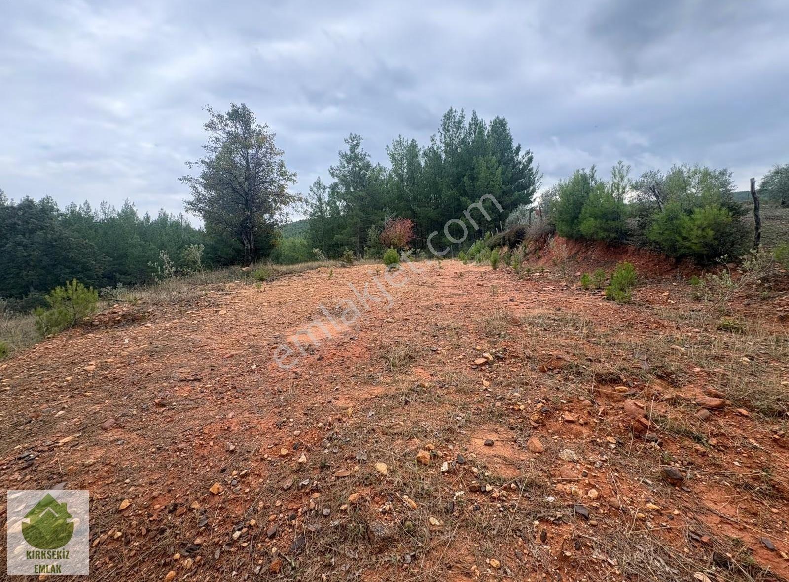 Muğla Menteşe Derinkuyu(fadılca) Da Büyük Hobi Bahçesi - Görsel 30