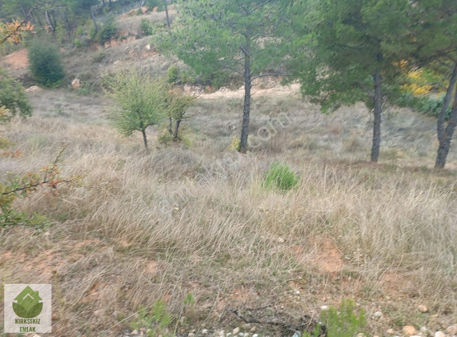 Muğla Menteşe Derinkuyu(fadılca) Da Büyük Hobi Bahçesi - Görsel 35