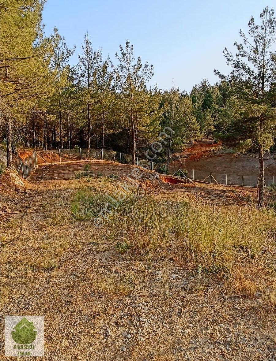 Muğla Menteşe Derinkuyu(fadılca) Da Büyük Hobi Bahçesi - Görsel 7
