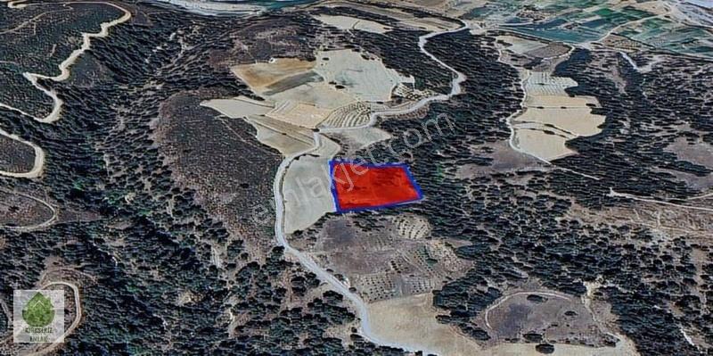 Denizli Kale Esenkaya'da Yatırımlık Satılık 11.342 M² Tarla... - Görsel 3