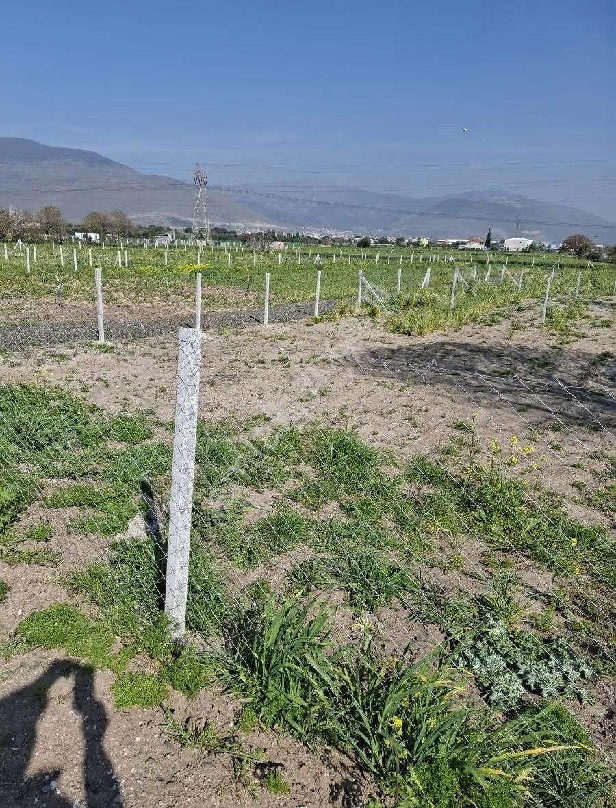 Aliağa Barboros Hayrettin Pasada 426 M2 Bahçe Acil Satılık - Görsel 15