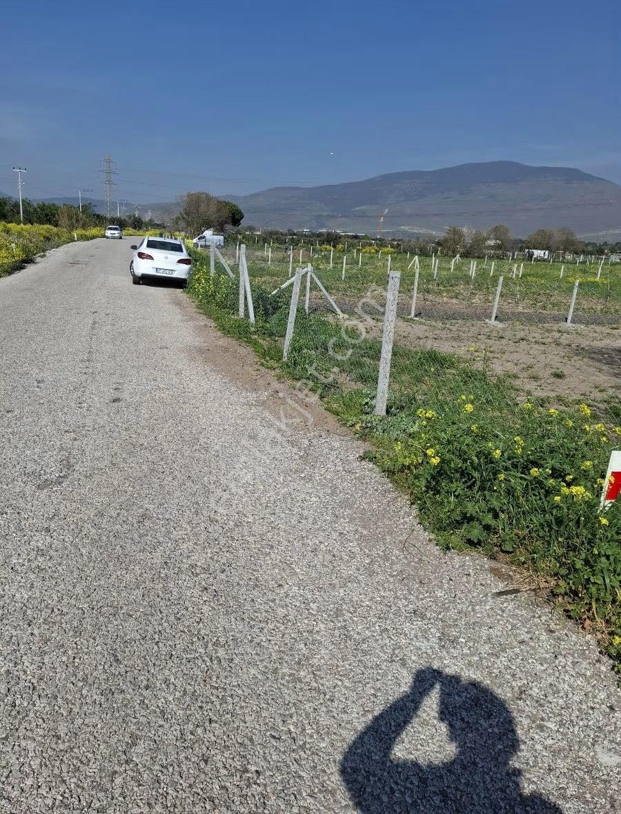 Aliağa Barboros Hayrettin Pasada 426 M2 Bahçe Acil Satılık - Görsel 17