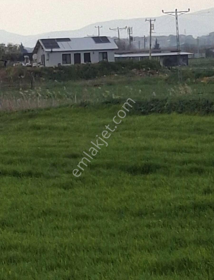 Foça Gerenköyde 9767 M2 Tek Tapu Arazim Satılıktır - Görsel 6