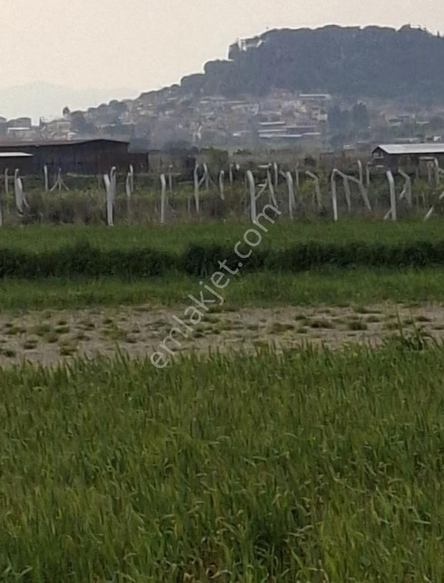 Foça Gerenköyde 9767 M2 Tek Tapu Arazim Satılıktır - Görsel 3