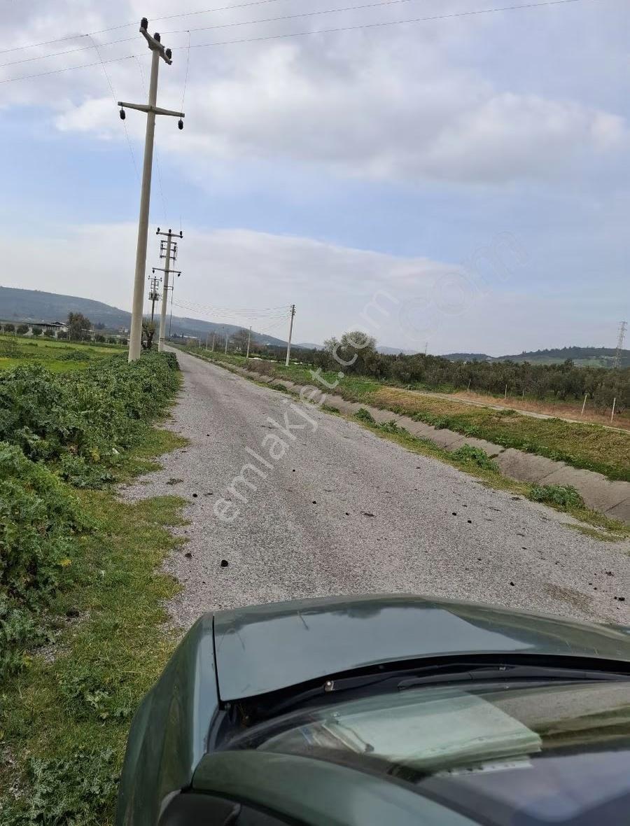 Foça Gerenköyde 9767 M2 Tek Tapu Arazim Satılıktır - Görsel 26