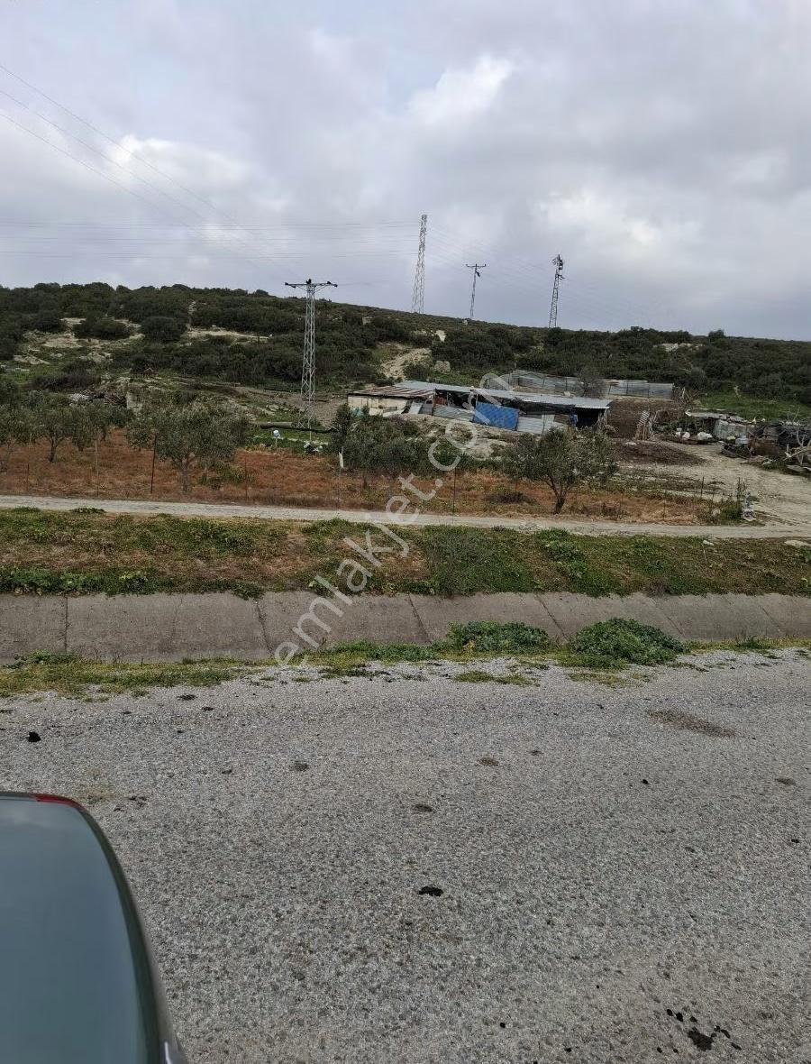 Foça Gerenköyde 9767 M2 Tek Tapu Arazim Satılıktır - Görsel 25