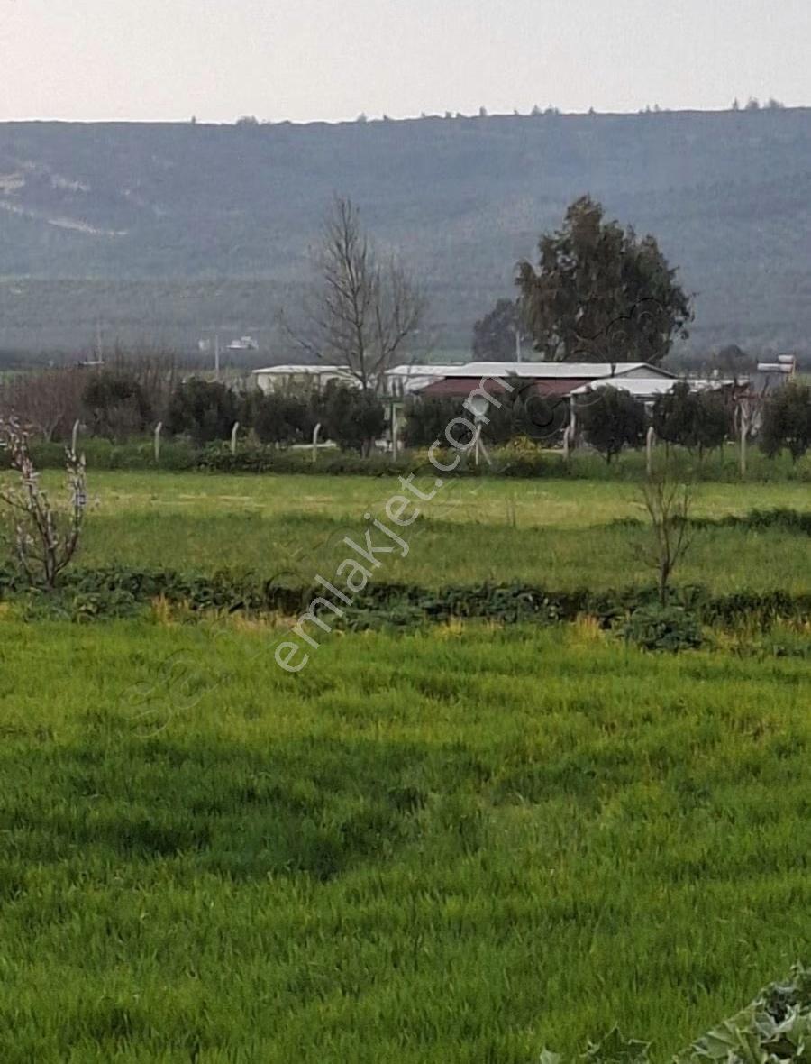 Foça Gerenköyde 9767 M2 Tek Tapu Arazim Satılıktır - Görsel 35