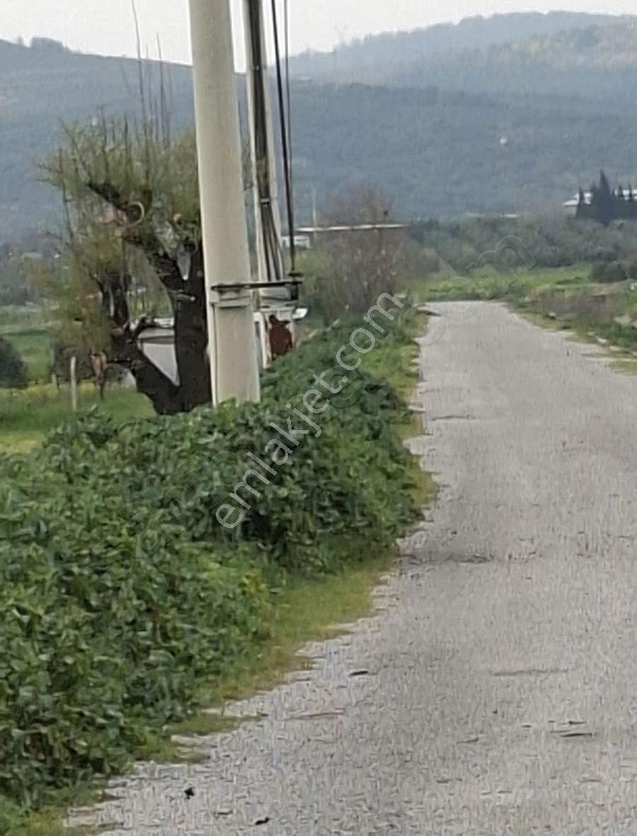 Foça Gerenköyde 9767 M2 Tek Tapu Arazim Satılıktır - Görsel 28