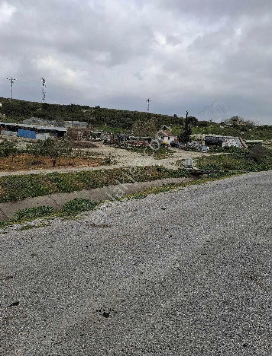 Foça Gerenköyde 9767 M2 Tek Tapu Arazim Satılıktır - Görsel 10