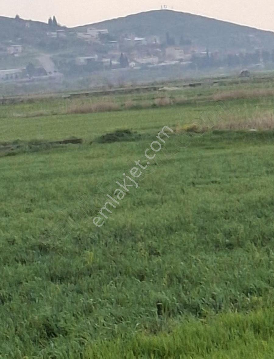 Foça Gerenköyde 9767 M2 Tek Tapu Arazim Satılıktır - Görsel 20