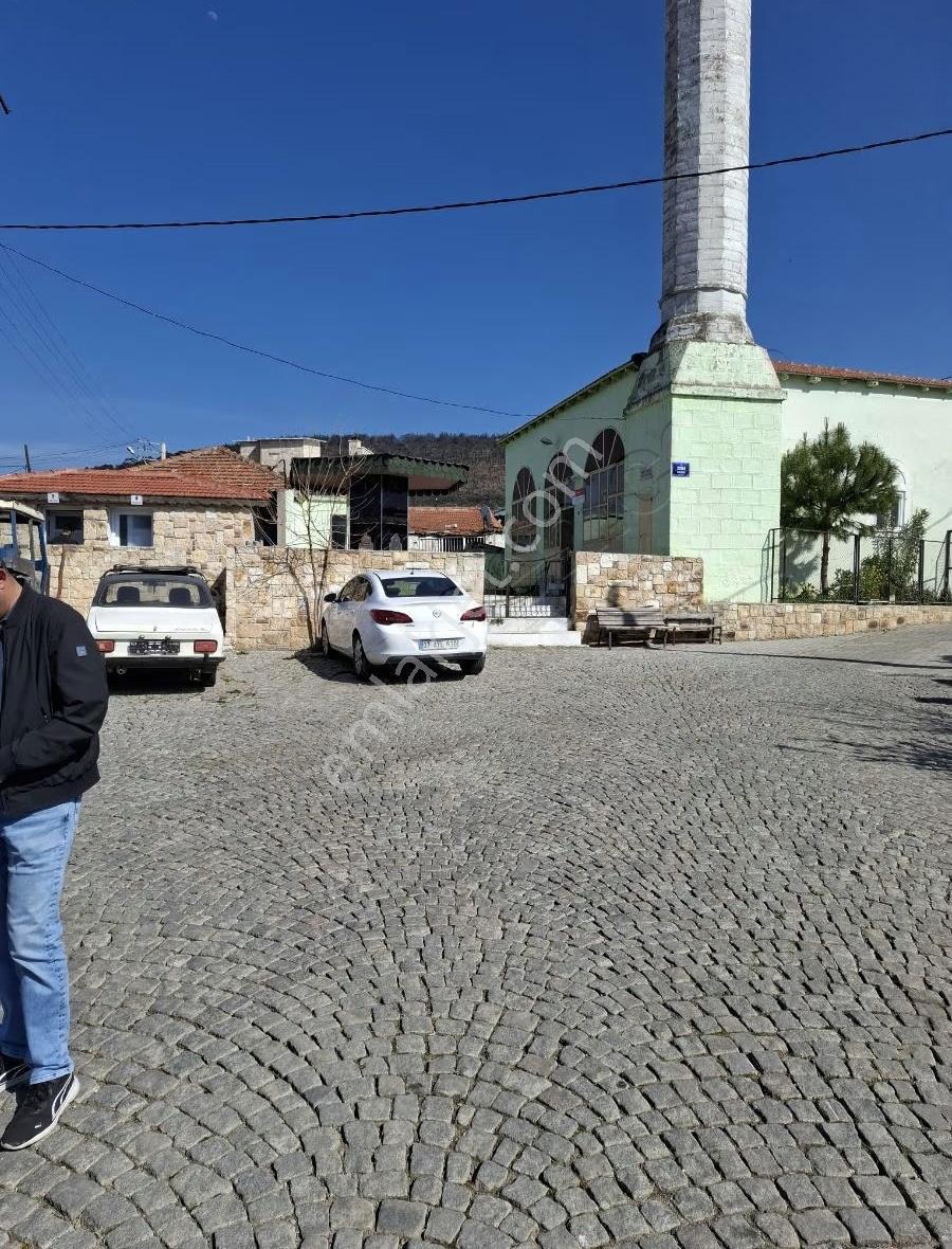 Foça Yeni Köyde 273 M2 Zeytinli Bahçe Satılık - Görsel 3