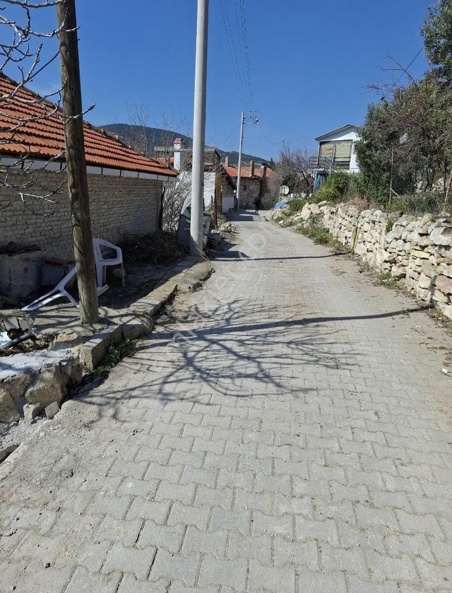 Foça Yeni Köyde 273 M2 Zeytinli Bahçe Satılık - Görsel 31