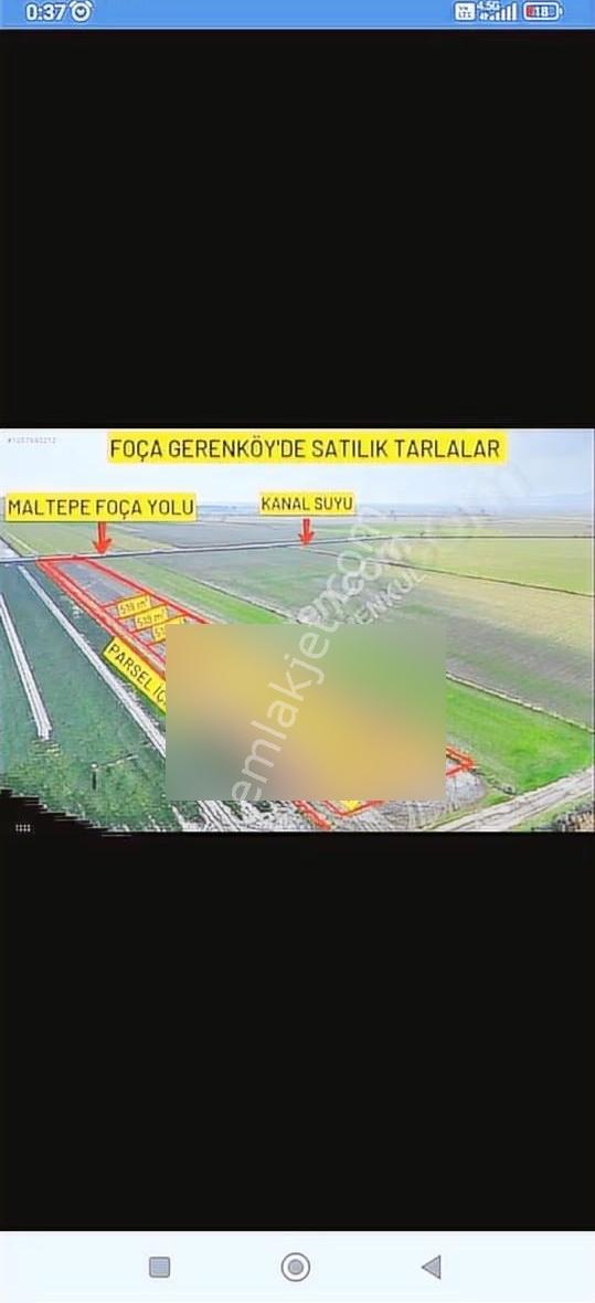 Foça Gerenköyde 345 M2 Bahçe Acil Satılıktır - Görsel 17