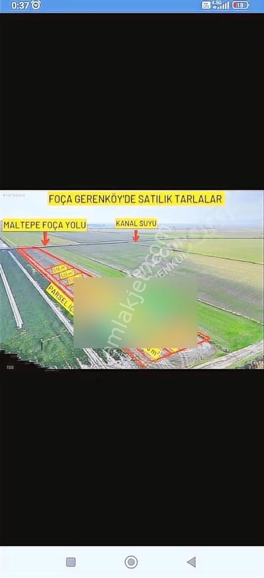 Foça Gerenköyde 345 M2 Bahçe Acil Satılıktır - Görsel 24