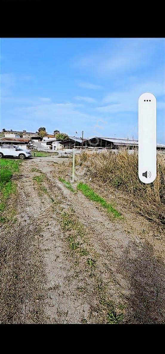 Foça Gerenköyde 345 M2 Bahçe Acil Satılıktır - Görsel 16