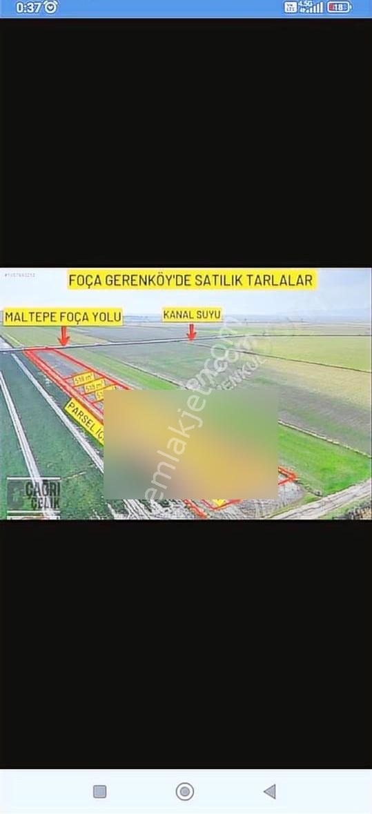 Foça Gerenköyde 345 M2 Bahçe Acil Satılıktır - Görsel 5