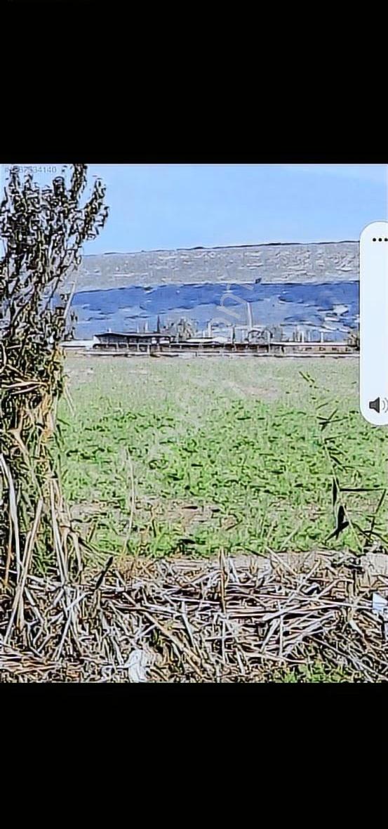 Foça Gerenköyde 345 M2 Bahçe Acil Satılıktır - Görsel 9