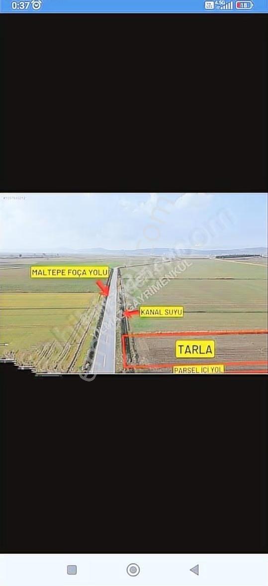 Foça Gerenköyde 345 M2 Bahçe Acil Satılıktır - Görsel 6