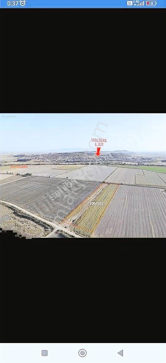 Foça Gerenköyde 345 M2 Bahçe Acil Satılıktır - Görsel 18