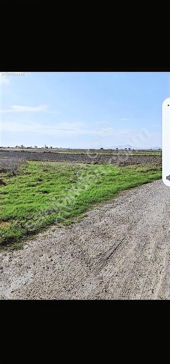Foça Gerenköyde 345 M2 Bahçe Acil Satılıktır - Görsel 10