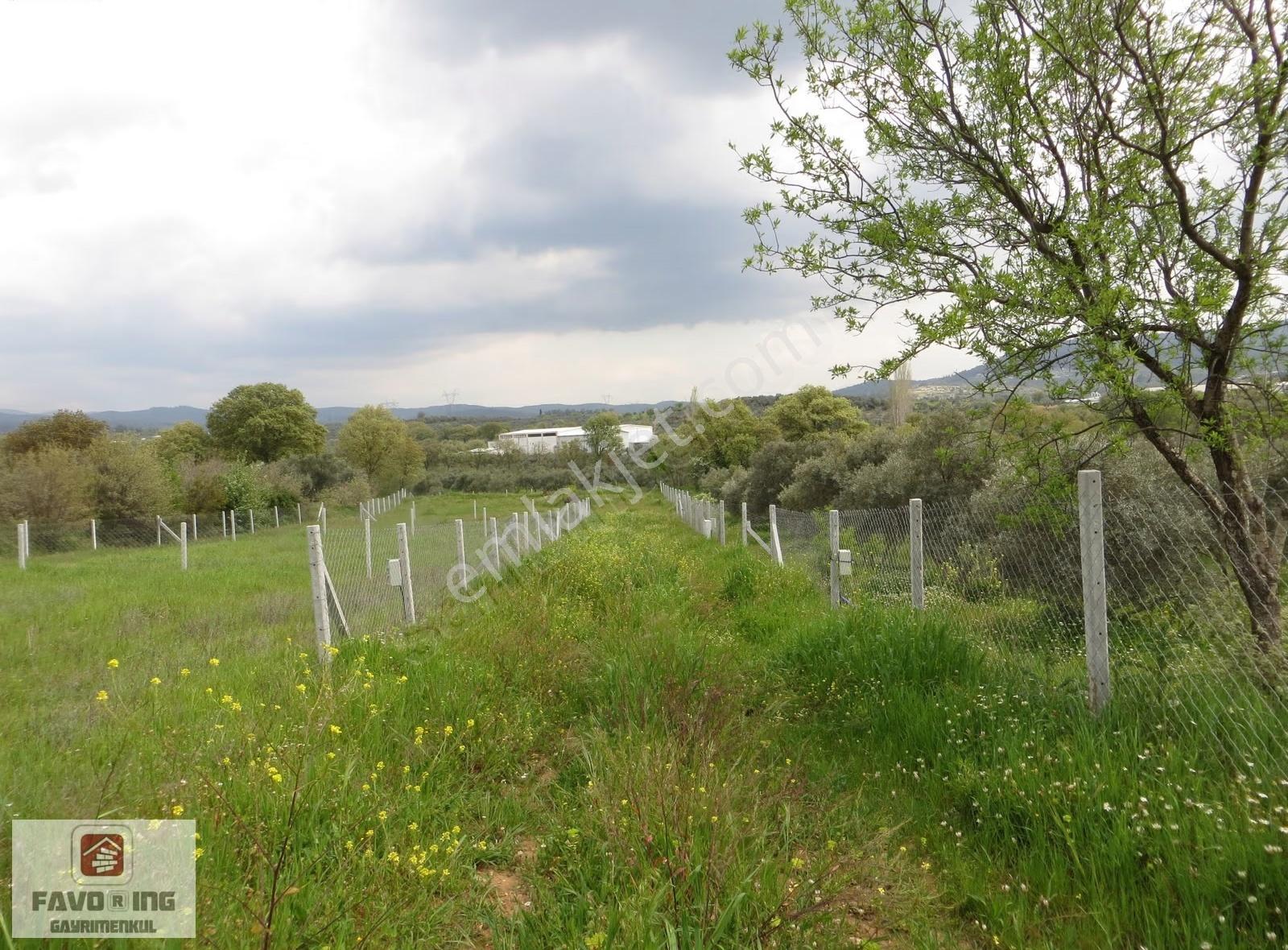 Torbalı Karakuyu | 367 M2 Tapudan Teslim | Satılık Bahçe - Görsel 2