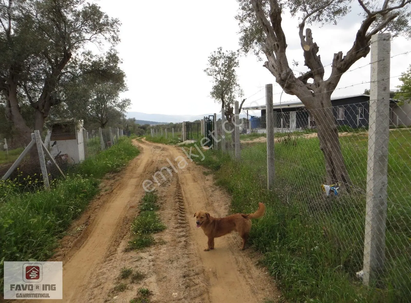 Torbalı Karakuyu | 367 M2 Tapudan Teslim | Satılık Bahçe