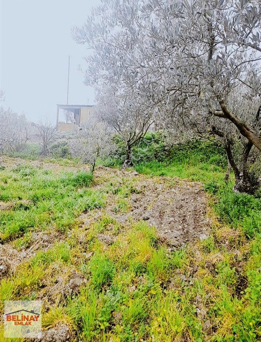 Belinay Emlaktan Konut Ve Villa Projelerine Uygun Satılık Arsa - Görsel 15