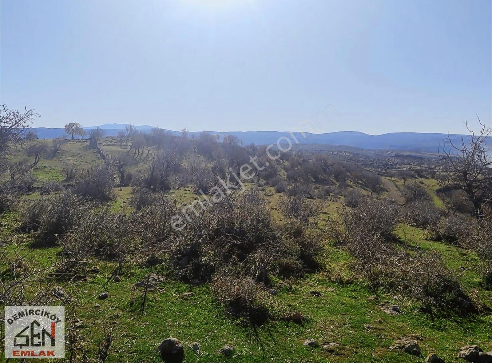 Çanakkale Ayvacık'ta 107 Dönüm Tarla - Görsel 5