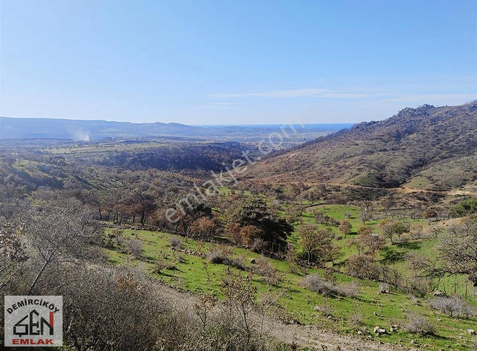 Çanakkale Ayvacık'ta 107 Dönüm Tarla - Görsel 6