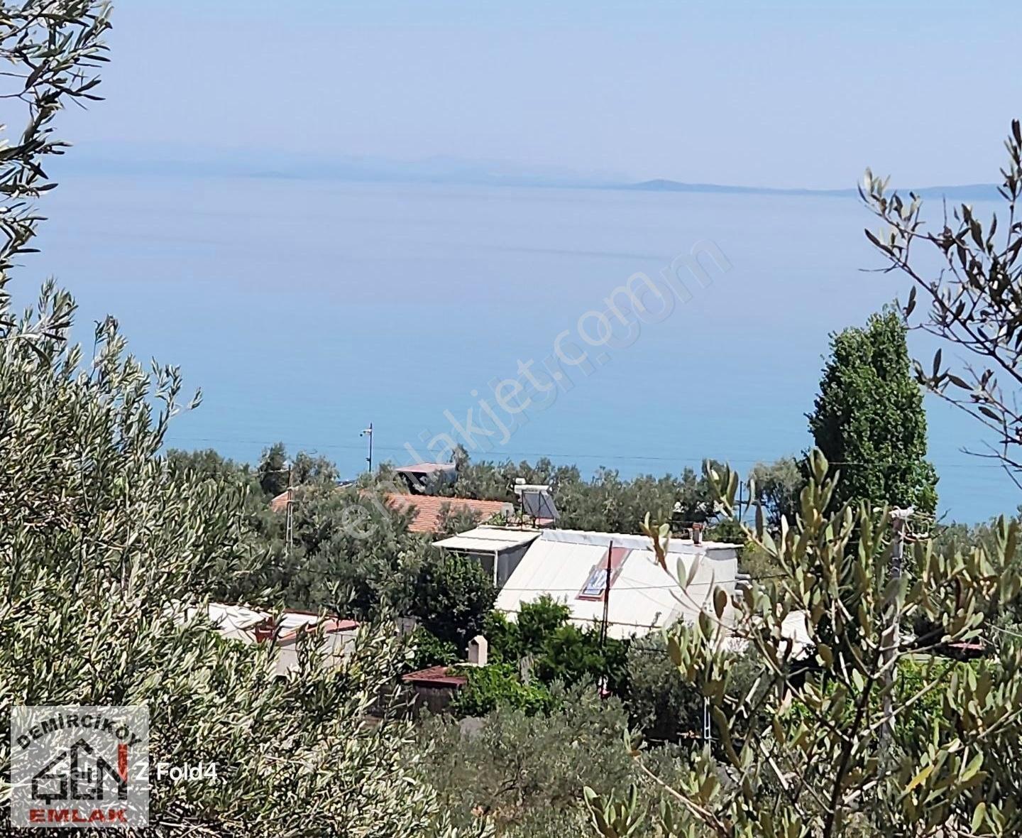 Deniz Ve Doğa Manzaralı Yola Cepheli Zeytinlik - Görsel 16