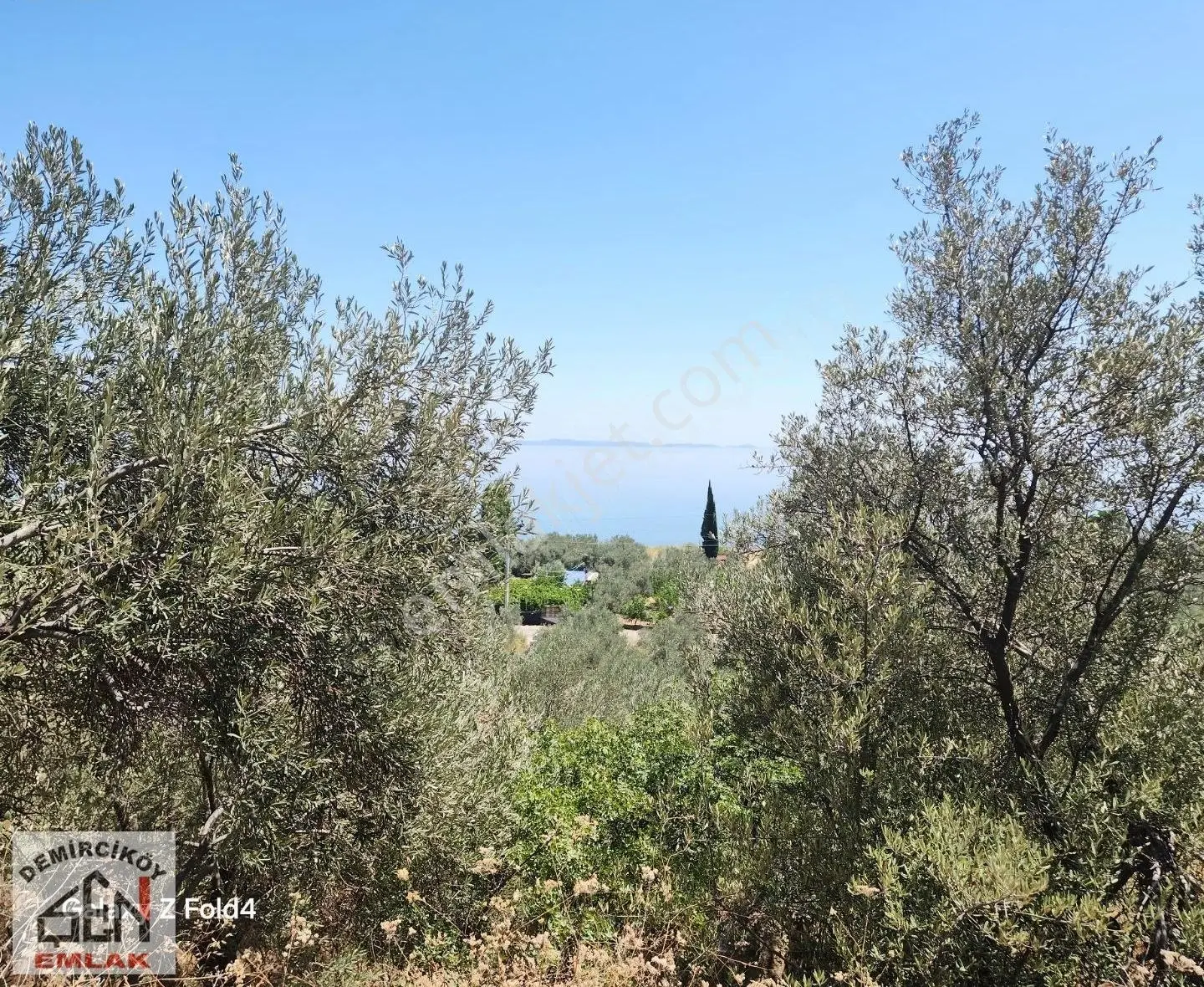 Deniz Ve Doğa Manzaralı Yola Cepheli Zeytinlik - Görsel 2