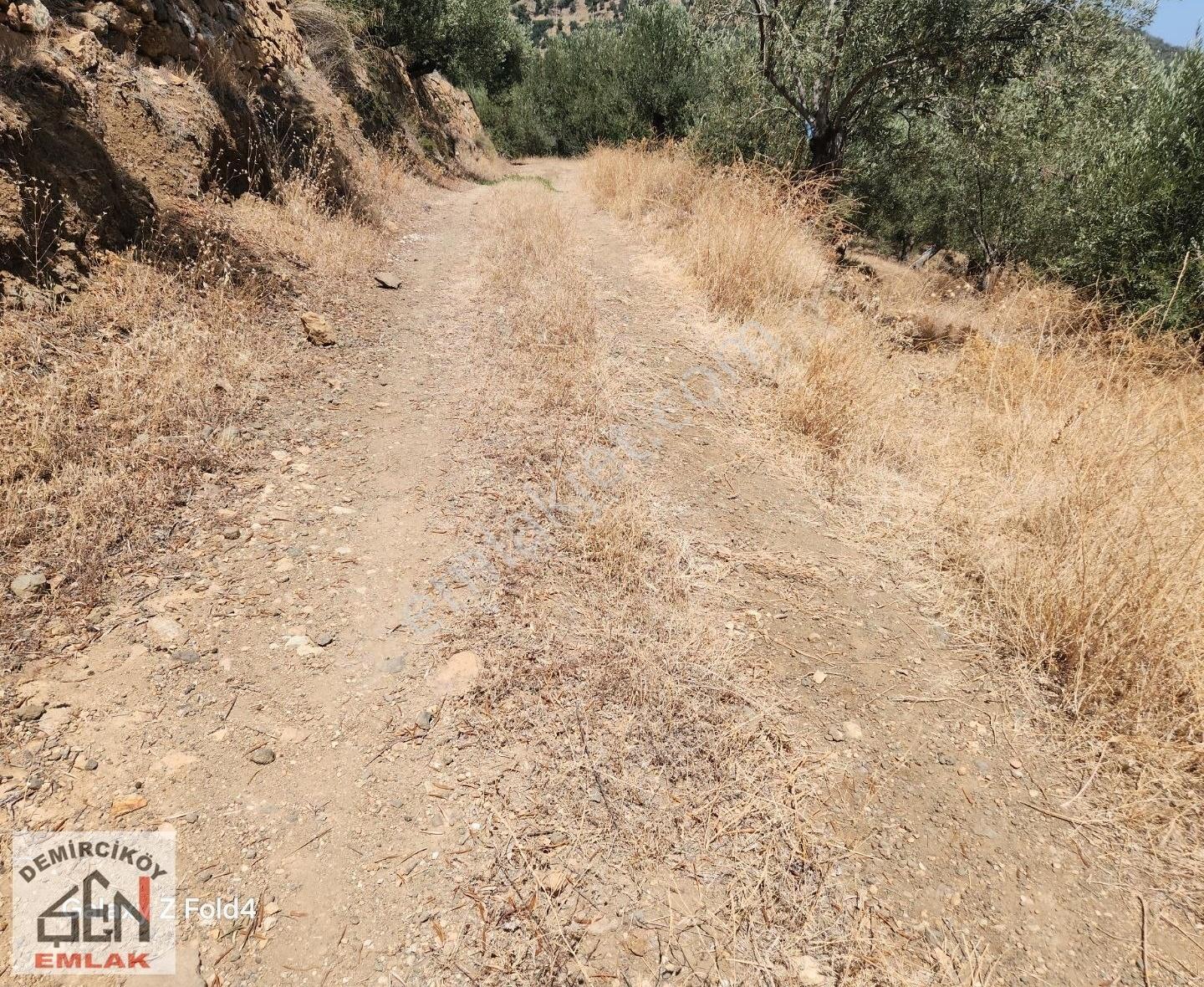 Deniz Ve Doğa Manzaralı Yola Cepheli Zeytinlik - Görsel 11