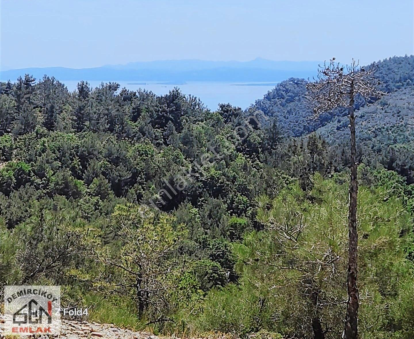 Çanakkale Ayvacık Demirciköyde Köye Yakın Deniz Manzaralı Tarla. - Görsel 14