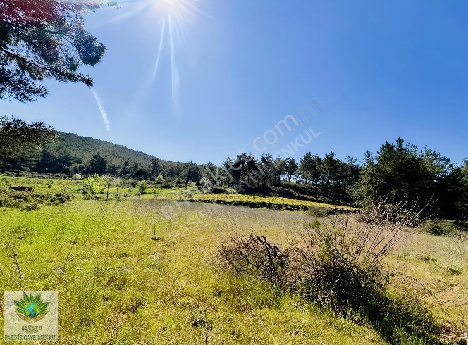 Pasifikten Menderes Yeniköyde 2.914 M² Tek Tapu Tarla - Görsel 2