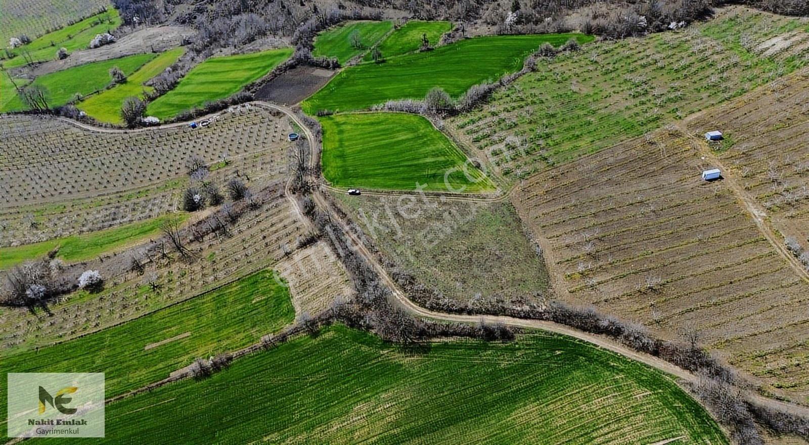Gündüzlü'de Satılık 5100m2 Resmi Yola 145m Cepheli Tarla Satılık - Görsel 16