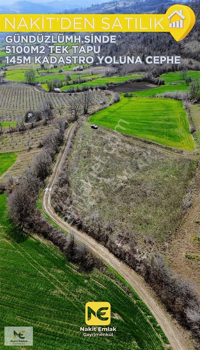 Gündüzlü'de Satılık 5100m2 Resmi Yola 145m Cepheli Tarla Satılık - Görsel 12