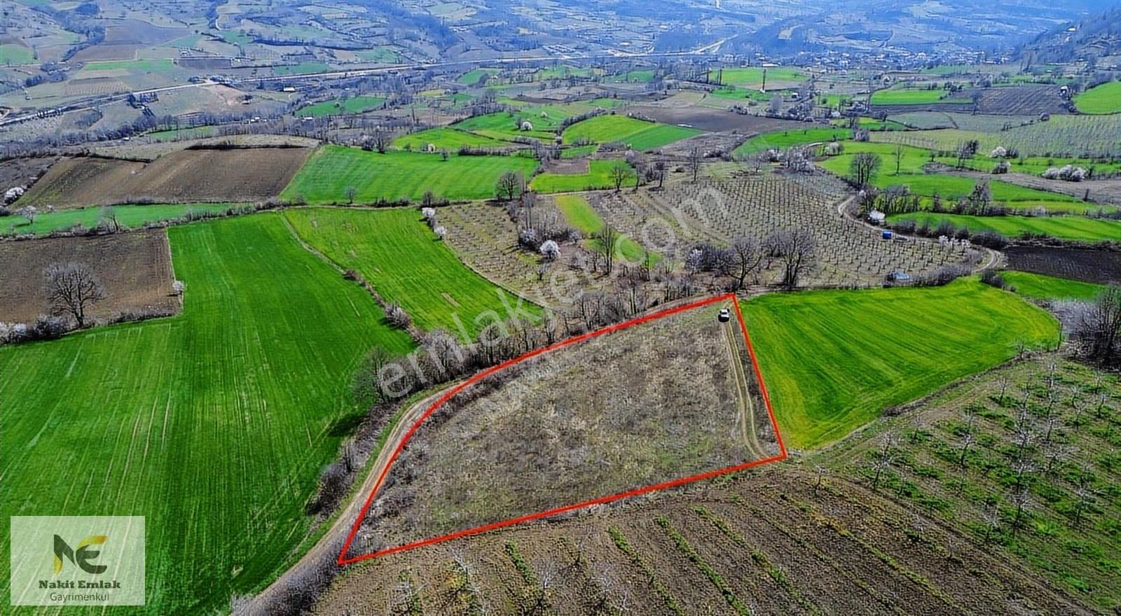 Gündüzlü'de Satılık 5100m2 Resmi Yola 145m Cepheli Tarla Satılık - Görsel 10