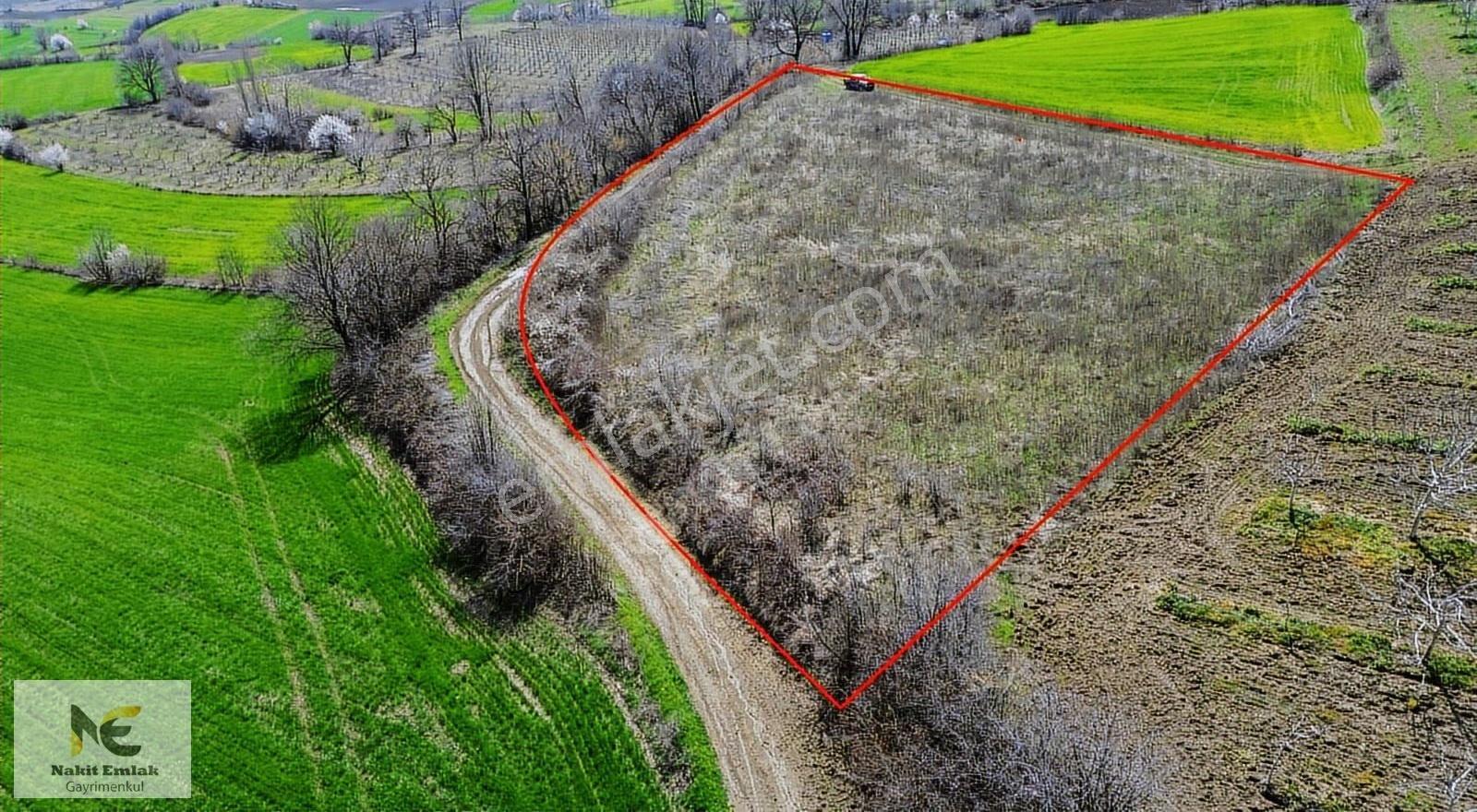 Gündüzlü'de Satılık 5100m2 Resmi Yola 145m Cepheli Tarla Satılık - Görsel 18