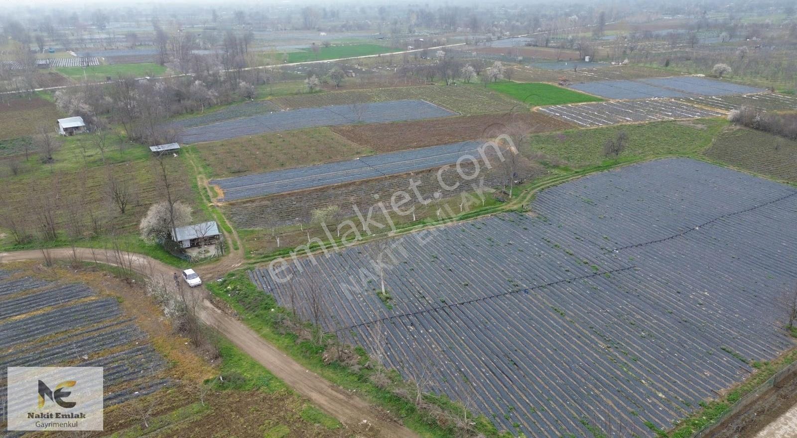 Kurşunlu'da Satılık 150m2 Tarla Yolu Suyu Mevcut Satışa Hazır !! - Görsel 17