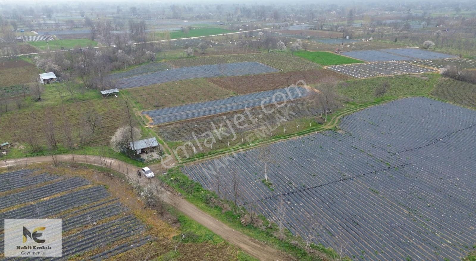 Kurşunlu'da Satılık 150m2 Tarla Yolu Suyu Mevcut Satışa Hazır !! - Görsel 18