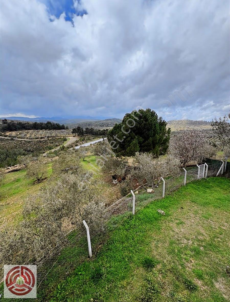 Acil Satılık Büyüksümbüllerde 1 Villa Fiyatına 2 Villa - Görsel 23