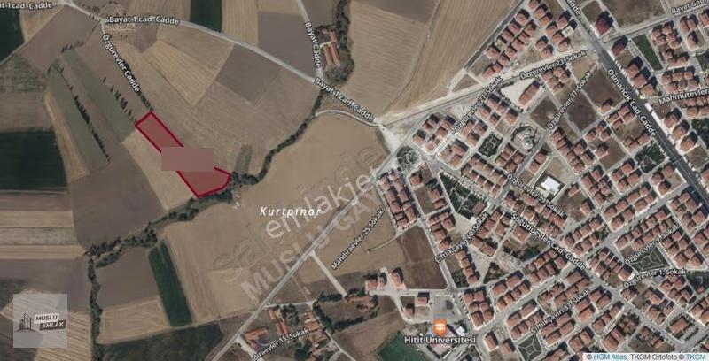 Muslu Gym-bayat 1.cad Sırtı Şehire Yakın Yatırımlık Tarla