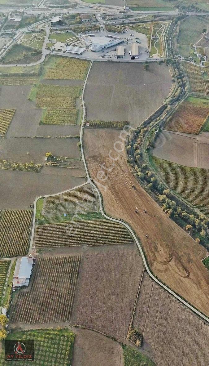 Manisa Şehzadeler Yeni Garaj Yanı 20.650m2 Satılık Kupon Arazi - Görsel 5